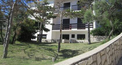 Stunning Holiday Home in Pag Dalmatia, Croatia