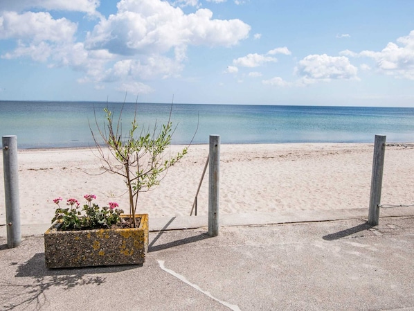 A beach with a concrete path, a metal fence, and a planter with pink flowers.