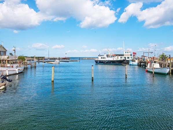 House | Marina
