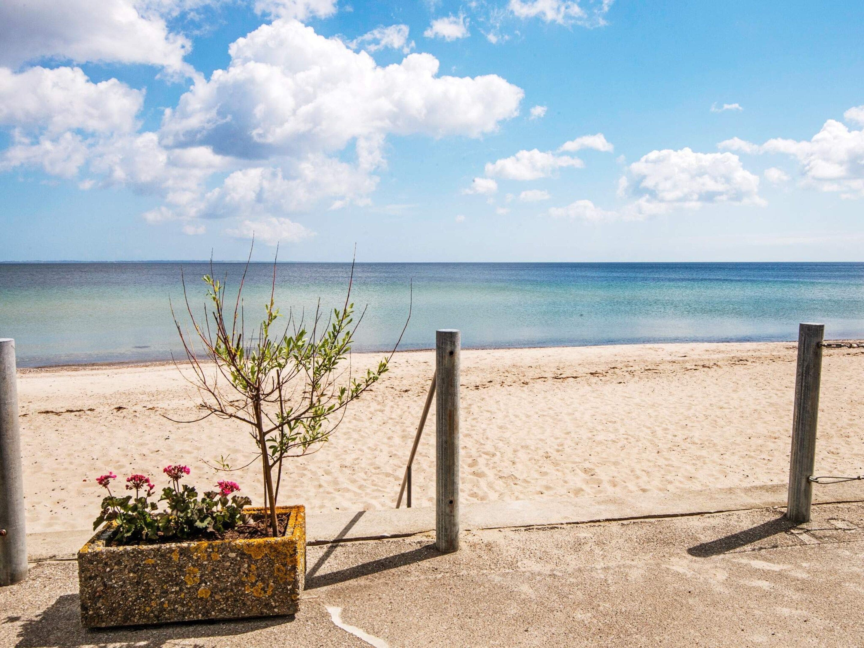 Une plage avec un bac en béton où sont plantées des plantes et des fleurs, une clôture en bois et une vue dégagée sur l’océan.