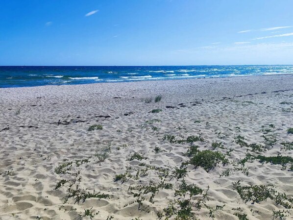 A sandy beach with sparse vegetation and the ocean in the background. - Holiday Home in Sydals (Sydals)