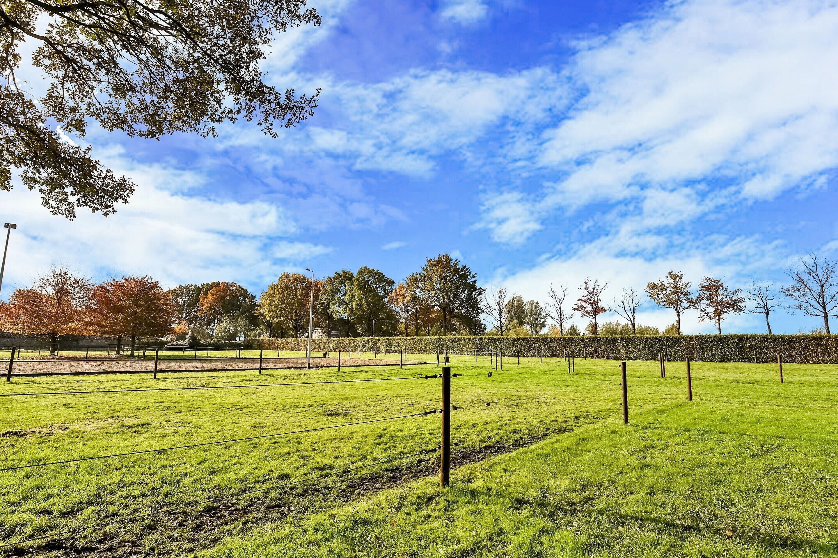 House | View from property
