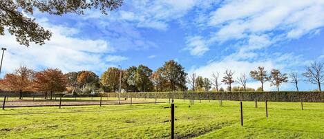 House | View from property