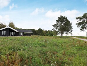 Ein Haus mit dunkler Fassade und weißem Zierrahmen, umgeben von einem grasbewachsen Feld und Bäumen.