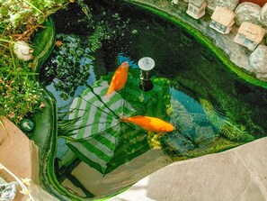 A koi pond with two fish, surrounded by greenery and a small house model. - Charming Holiday Home in Houyet Near Forest (Houyet)