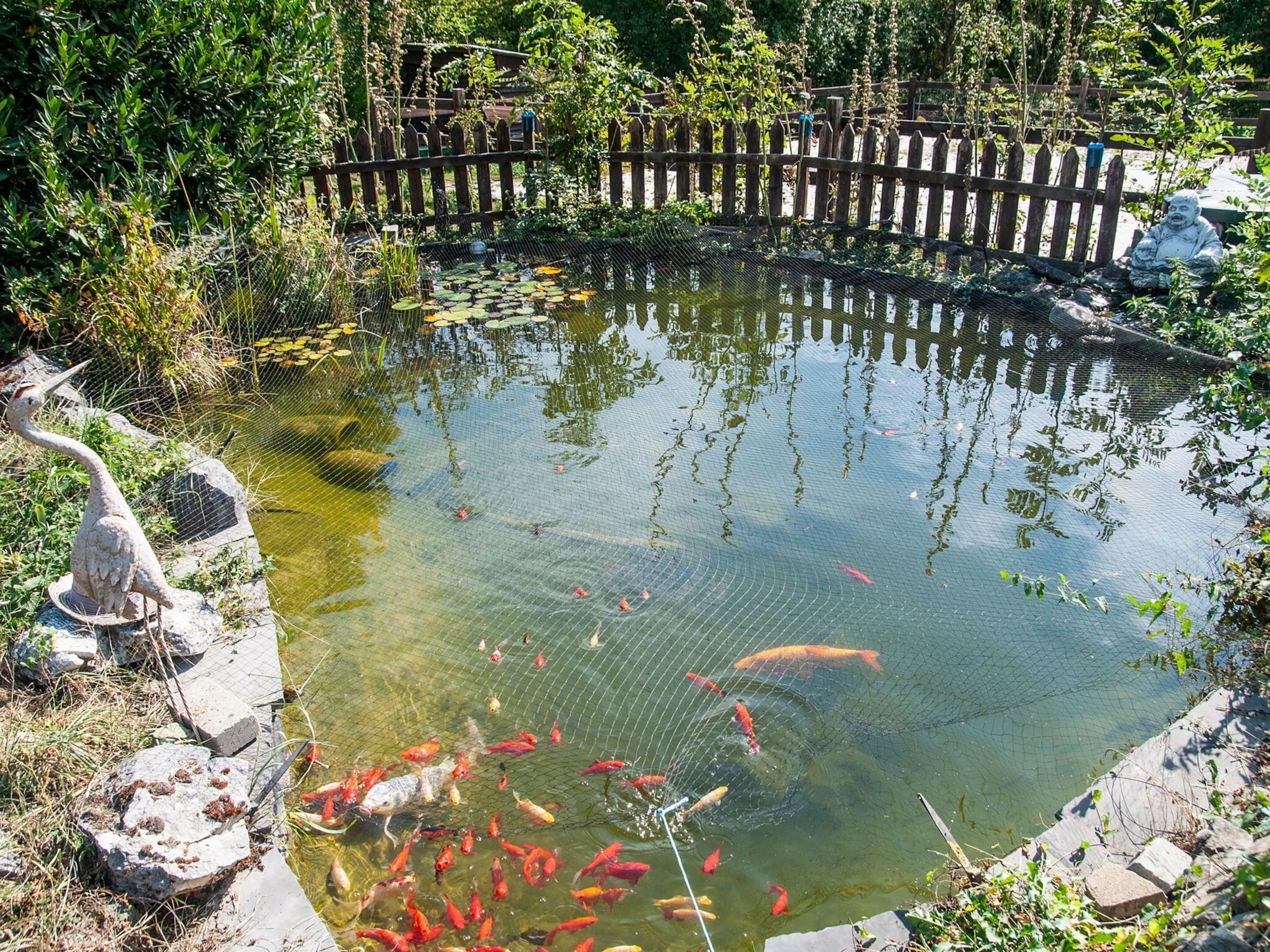 A pond with koi fish, surrounded by a wooden fence and stone decorations.
