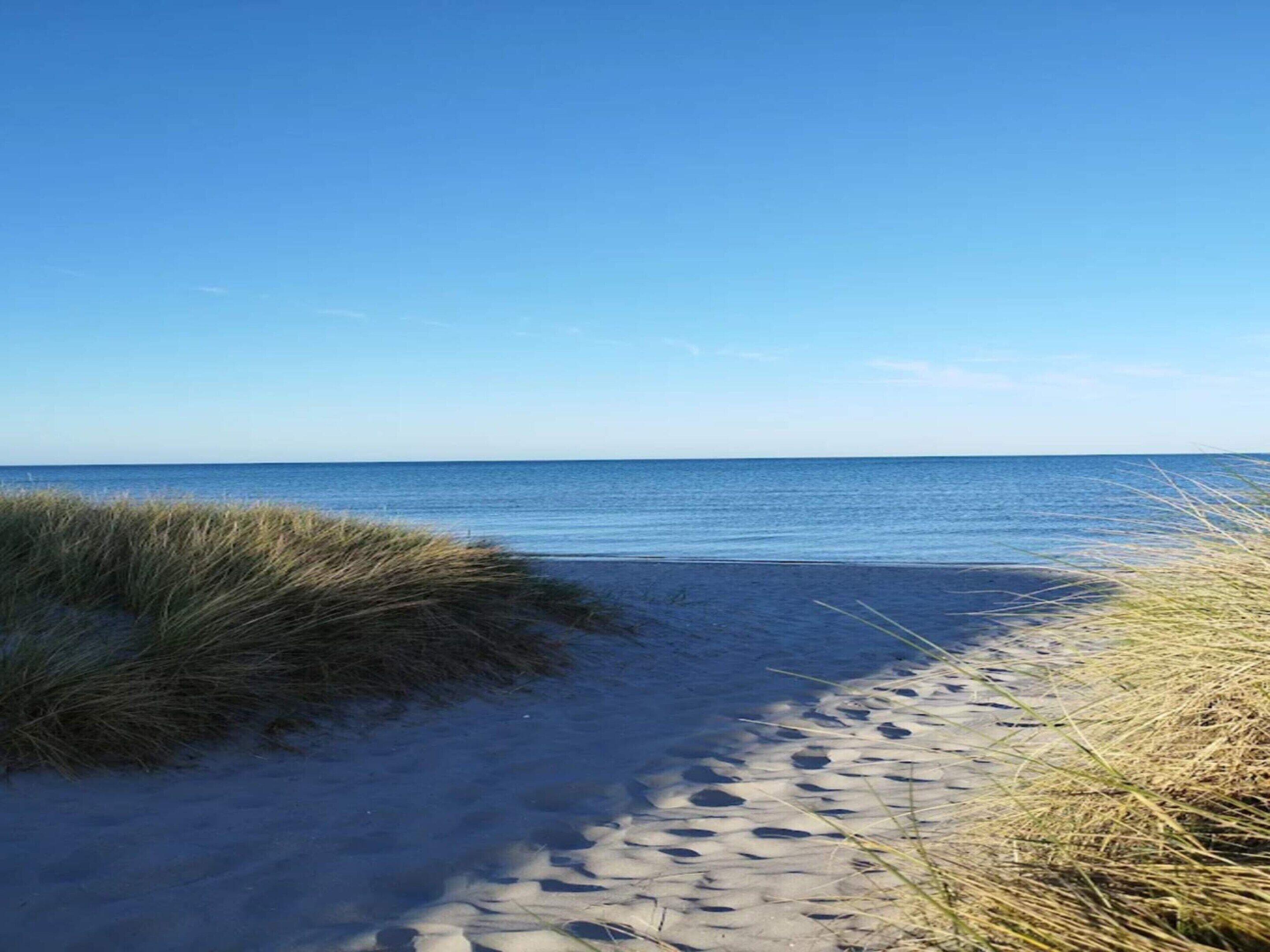 Ferienhaus | Blick auf das Wasser