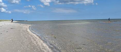 A beach with clear skies and calm waters.
