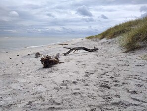 A sandy beach with driftwood and grass on the dunes.