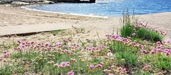 6 Person Holiday Home in Stromstad