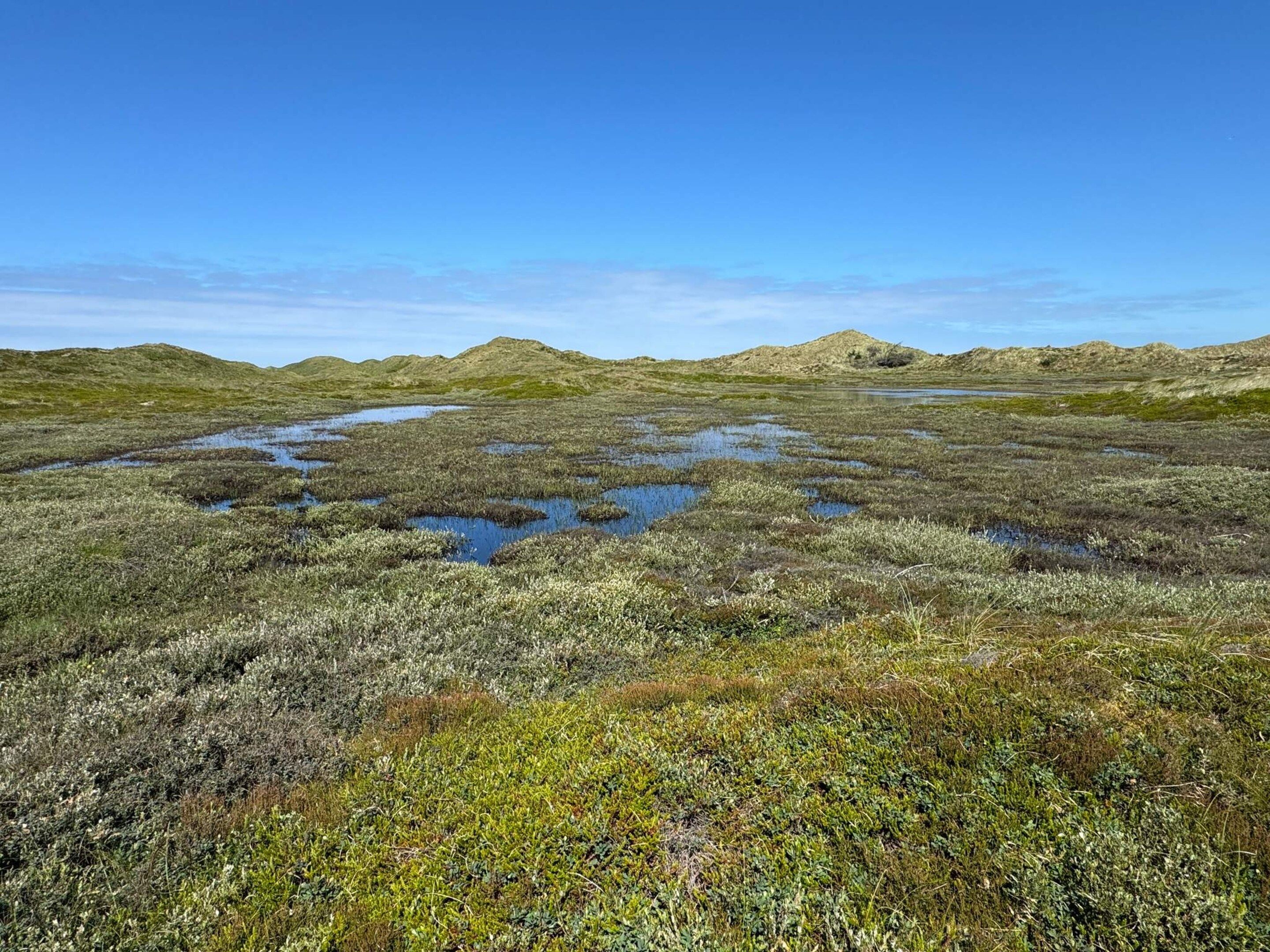 Paisaje natural con una masa de agua y colinas.