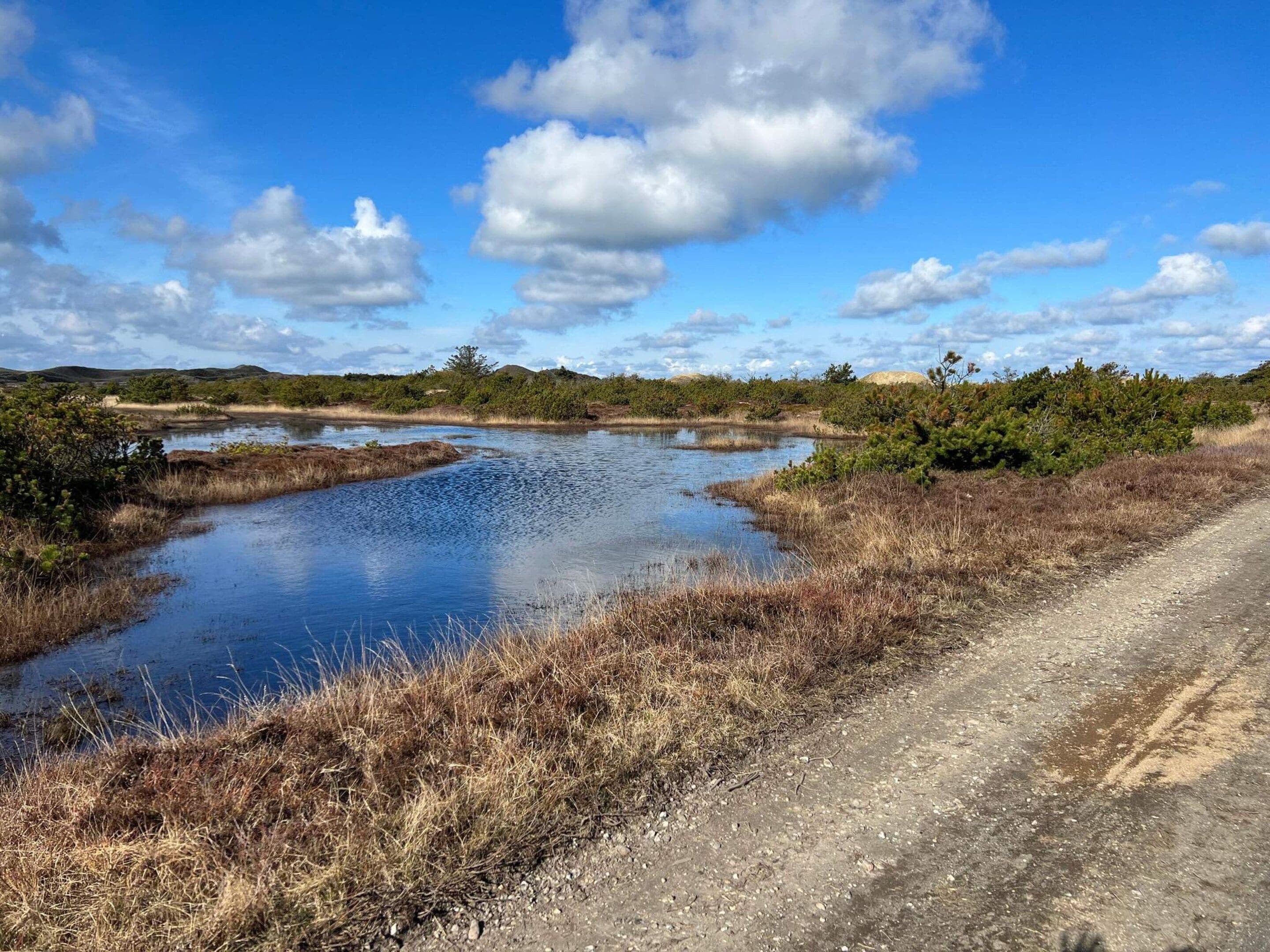 Paisaje natural con un cuerpo de agua, hierba seca y un sendero de tierra.