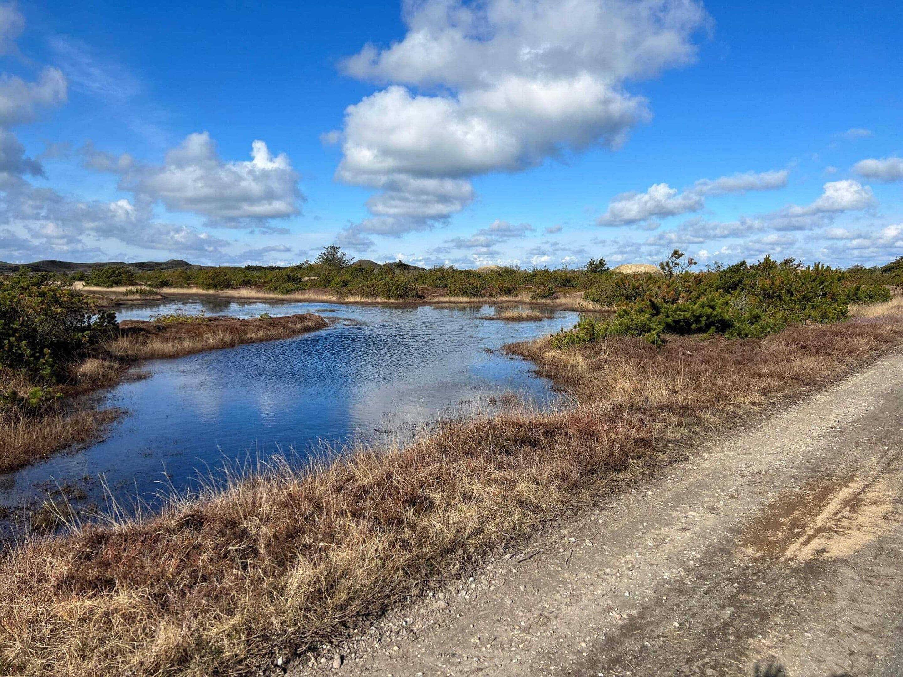A natural landscape with a water body, dry grass, and a dirt path.