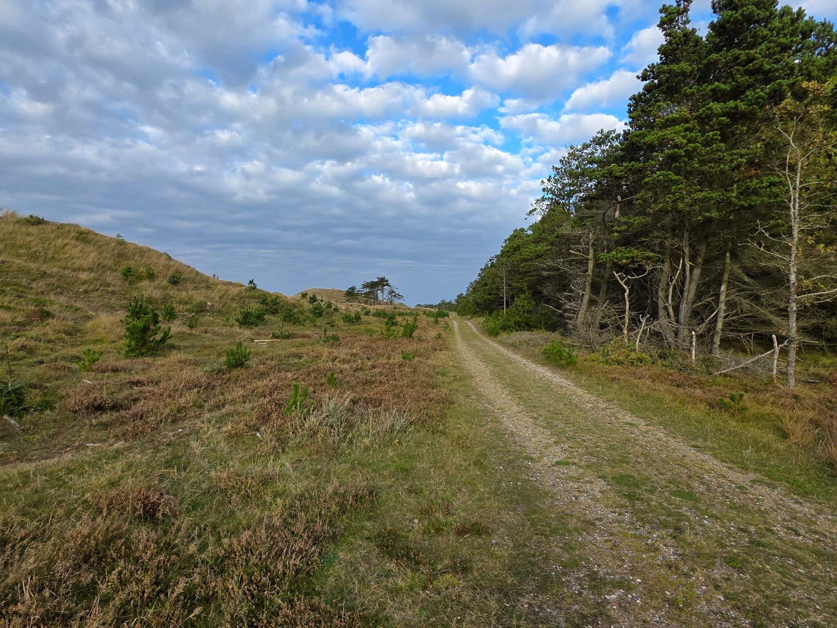 Un camino rural de tierra bordeado por campos verdes y árboles bajo un cielo parcialmente nublado.