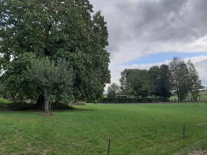 A grassy field with a large tree and a fence. - Beautiful Holiday Home With Terrace (Nattenheim)