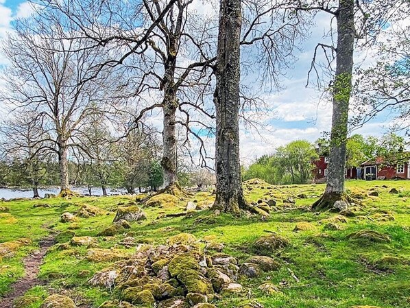 Eine natürliche Landschaft mit Bäumen, einer grünen Wiese und einem kleinen Gebäude im Hintergrund.
