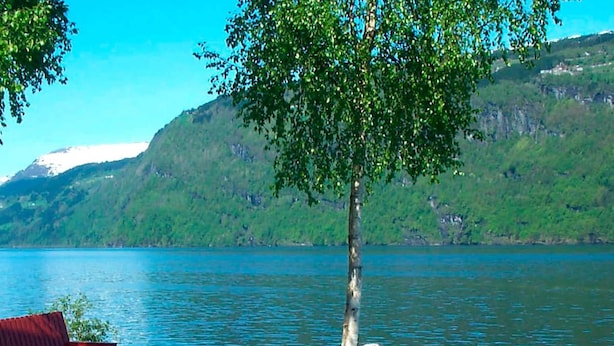 Uma área de piquenique à beira do lago, com banco e mesa, rodeada por vegetação e montanhas.