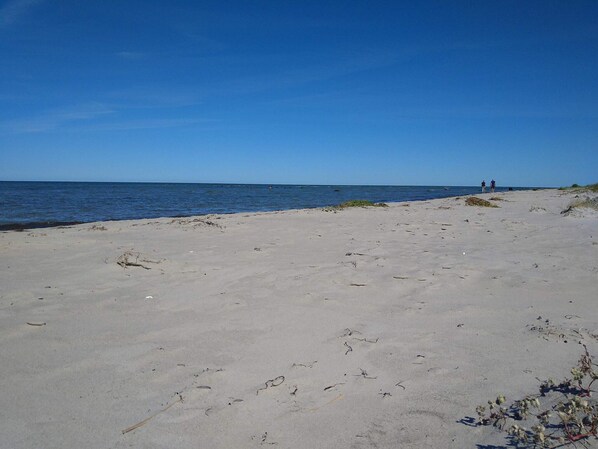 A beach with a clear sky, calm sea, and a few people in the distance.