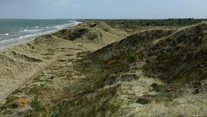 Un paysage côtier avec des dunes et une plage.