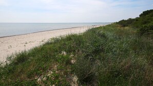 A beach with a sandy shore and grassy dunes. - Holiday Home in Idestrup (Idestrup)