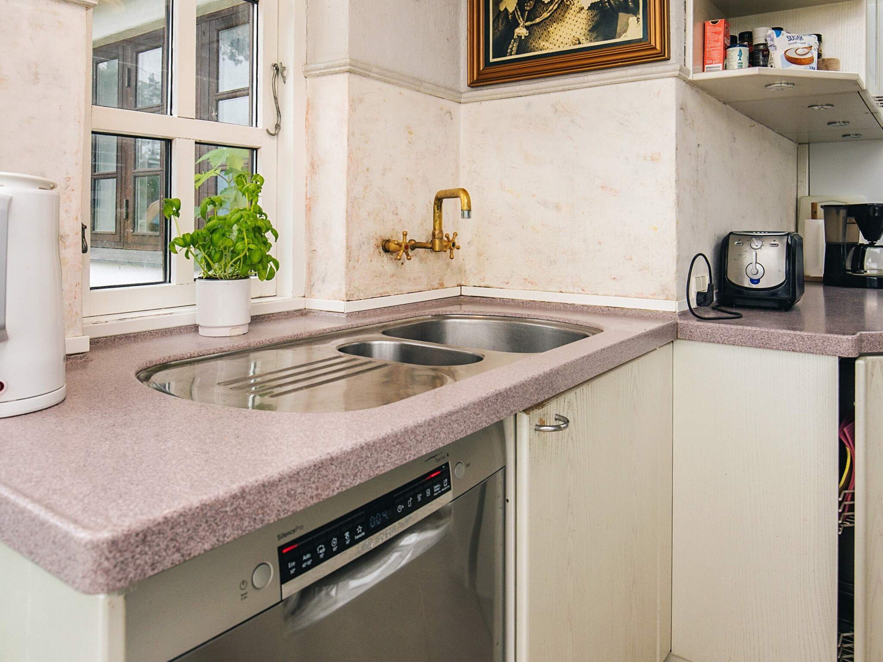 A kitchen with a double sink, a dishwasher, a coffee maker, and a potted plant.