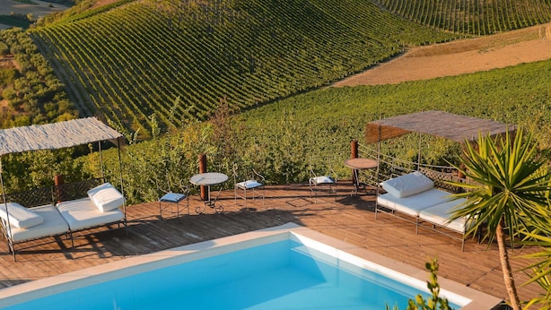 A pool area with lounge chairs and a view of vineyard rows. - Apartment in Marche Near Sibillini Park (Ripatransone)