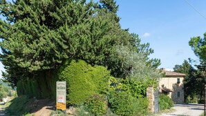 Une route de campagne bordée d’un bâtiment en pierre et d’un grand arbre.