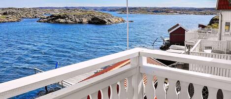 独立别墅 | 水景