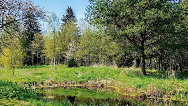 Unclassified image, 1 of 37, button - 10 Person Holiday Home in Mariestad (Mariestad)