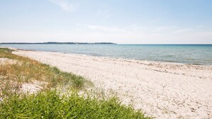 En strand med en sandstrand och gräsbevuxen vegetation.