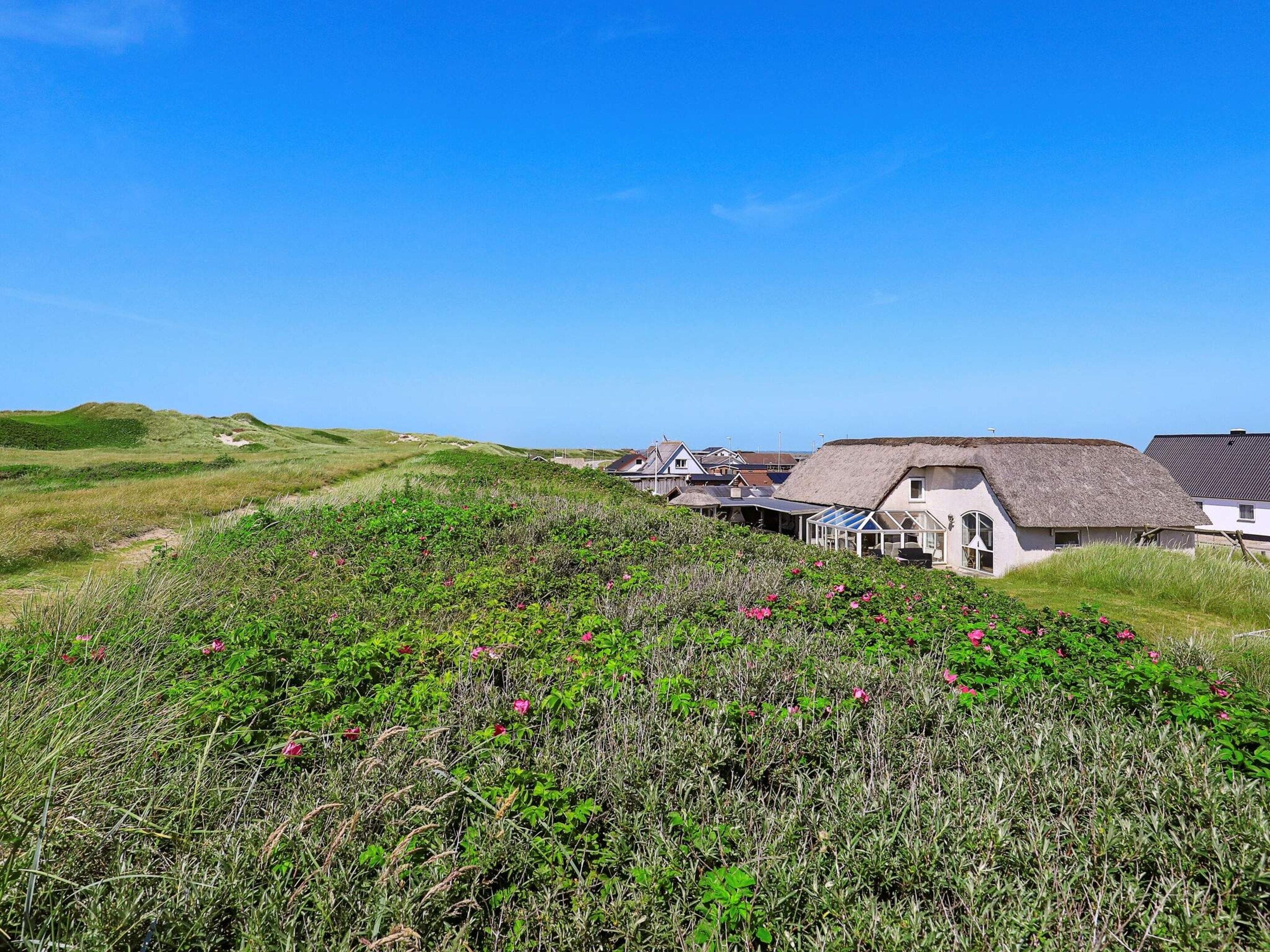 Paisagem rural com casas de colmo, campos gramados e flores silvestres.
