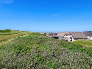 House | View from property