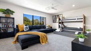 TV, Netflix, books, streaming services