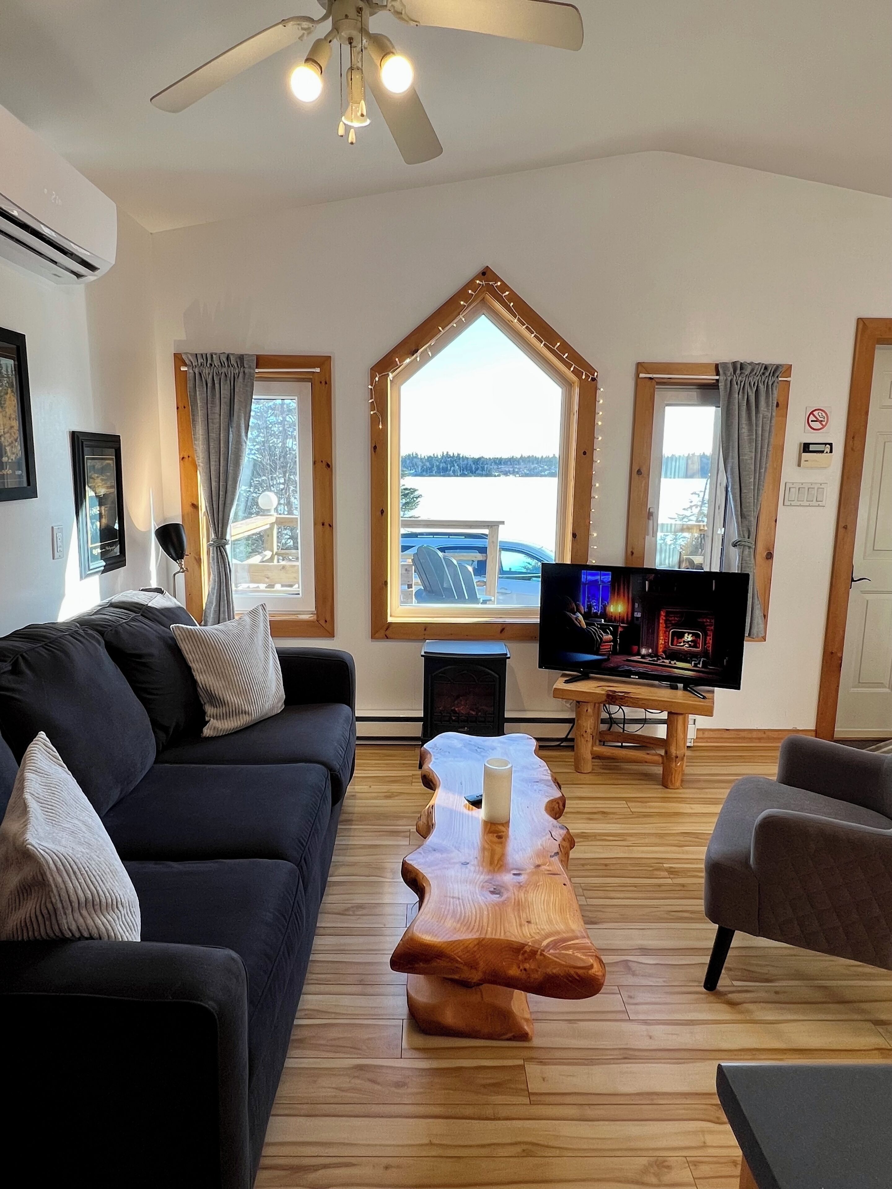 Smart TV, fireplace, books