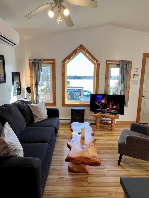 Smart TV, chimenea y libros 