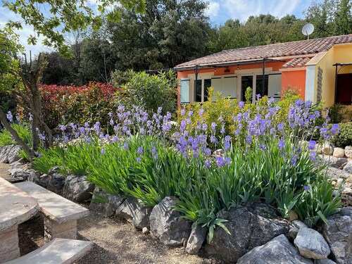 Le Petit Paradis Provençal (Lavandin 3)