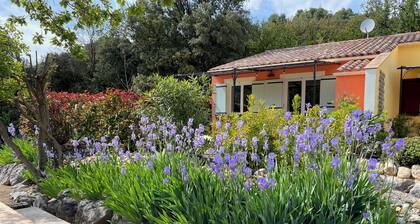 Le Petit Paradis Provençal (Lavandin 3)