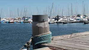 A wooden dock with a rope tied to a post, a marina with multiple boats, and calm water.