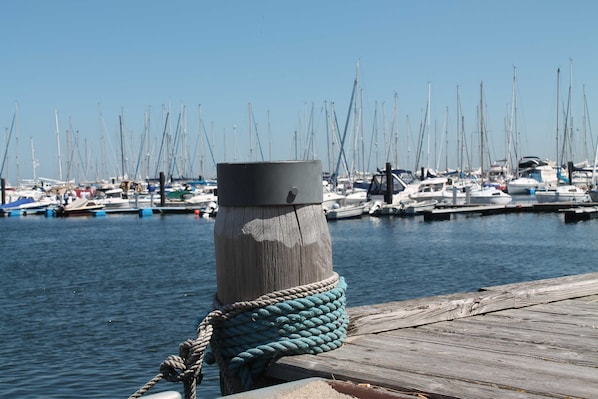 Une jetée en bois avec une corde attachée à un poteau, un port de plaisance avec de nombreux bateaux, et une eau calme.