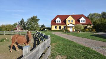 Un écurie avec un cheval et une grande maison jaune avec un toit rouge.