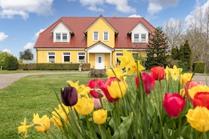 Ein gelbes Haus mit rotem Dach, umgeben von einem gepflegten Rasen und bunten Tulpen.