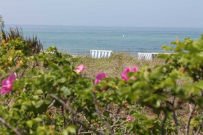 Imagem sem classificação, 5 de 24, botão