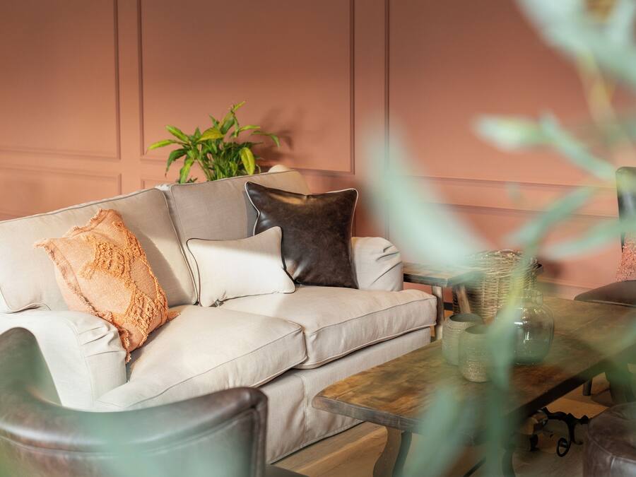 A beige sofa with a textured throw pillow, a dark pillow, and a potted plant in the background.
