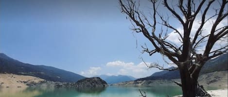 A barren landscape with a large tree in the foreground, a body of water, and mountains in the background.