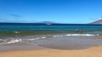 Plage, chaises longues, serviettes de plage