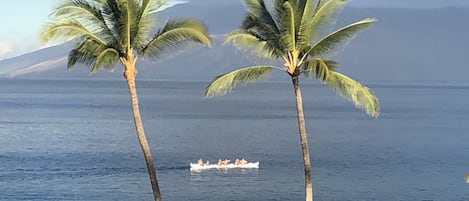 A la platja, gandules de platja i tovalloles de platja