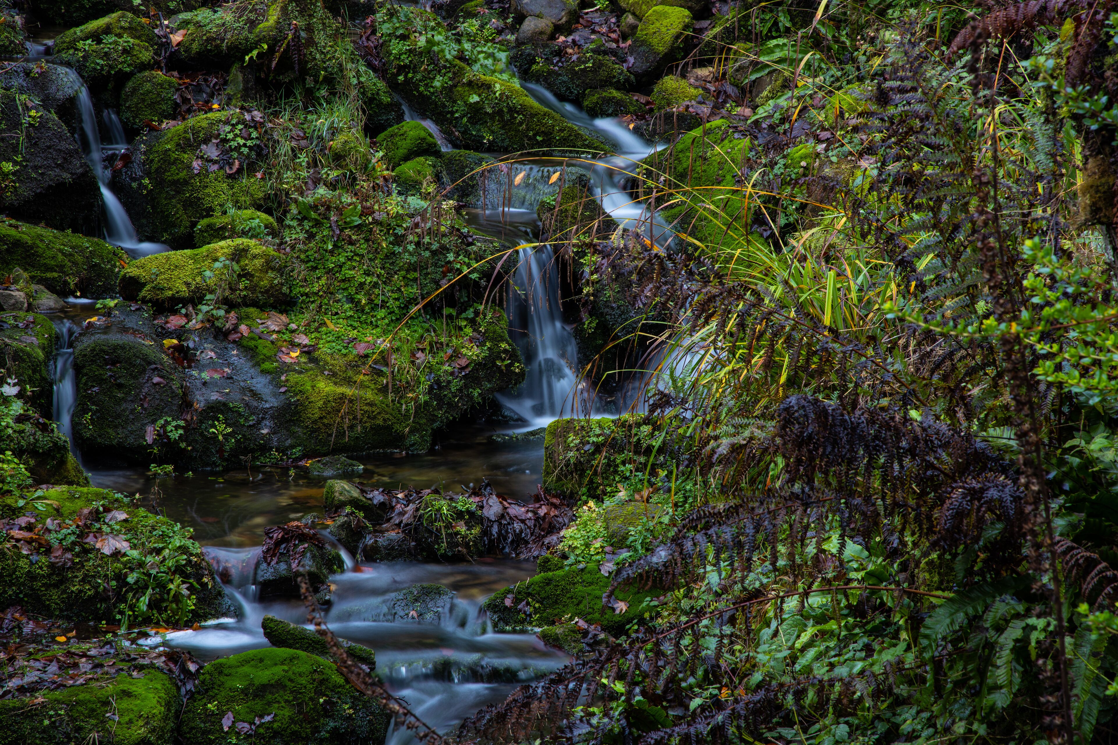 A natural stream flowing over moss-covered rocks in a forested area.