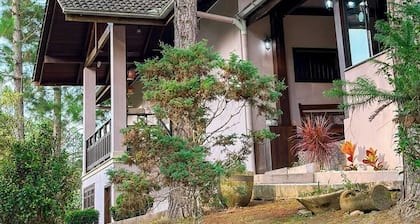 Pousada Casarão Gastehaus Boutique