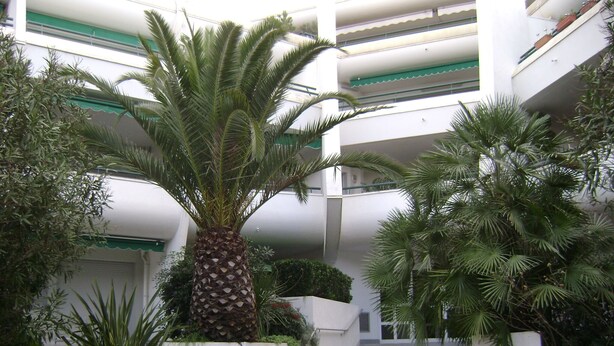 A multi-level building with a central staircase surrounded by lush greenery, including palm trees and other plants. - 2 ROOMS+CABIN-AIR CONDITIONING- SWIMMING POOL- SOUTH-FACING TERRACE- LOVELY LAKE VIEW, WIFI. (La Grande-Motte)