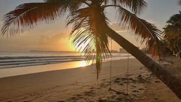 Playa en los alrededores